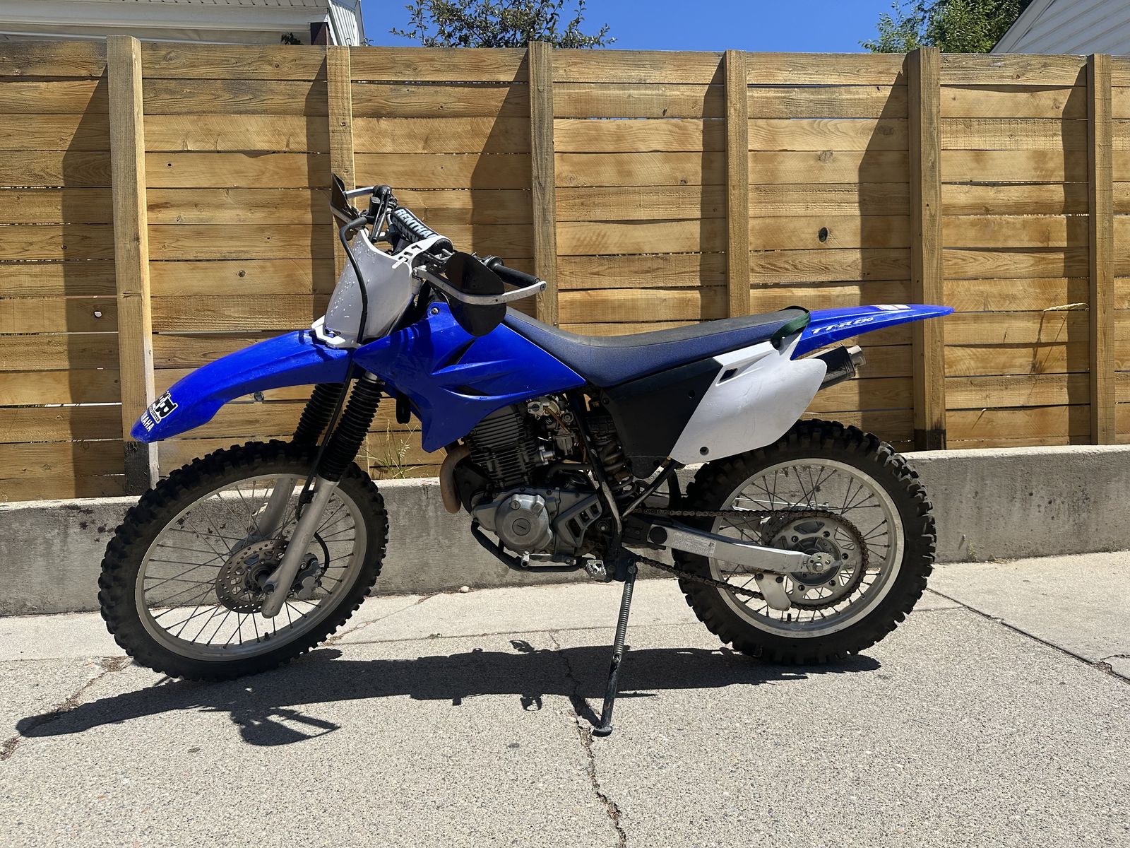 2008 Yamaha TTR230