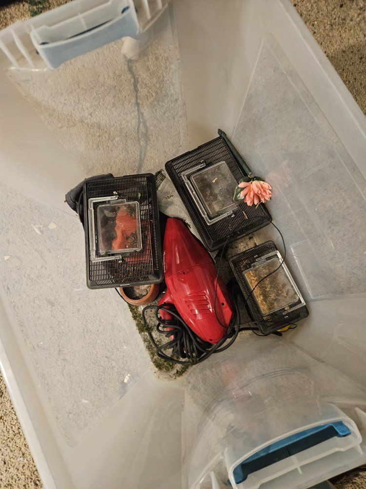 Tons of reptile supplies