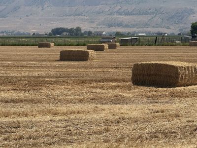 Straw Bales 3x4