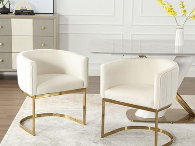 Modern Barrel Dining Chair With Backrest And Armrests(Set of 2)
