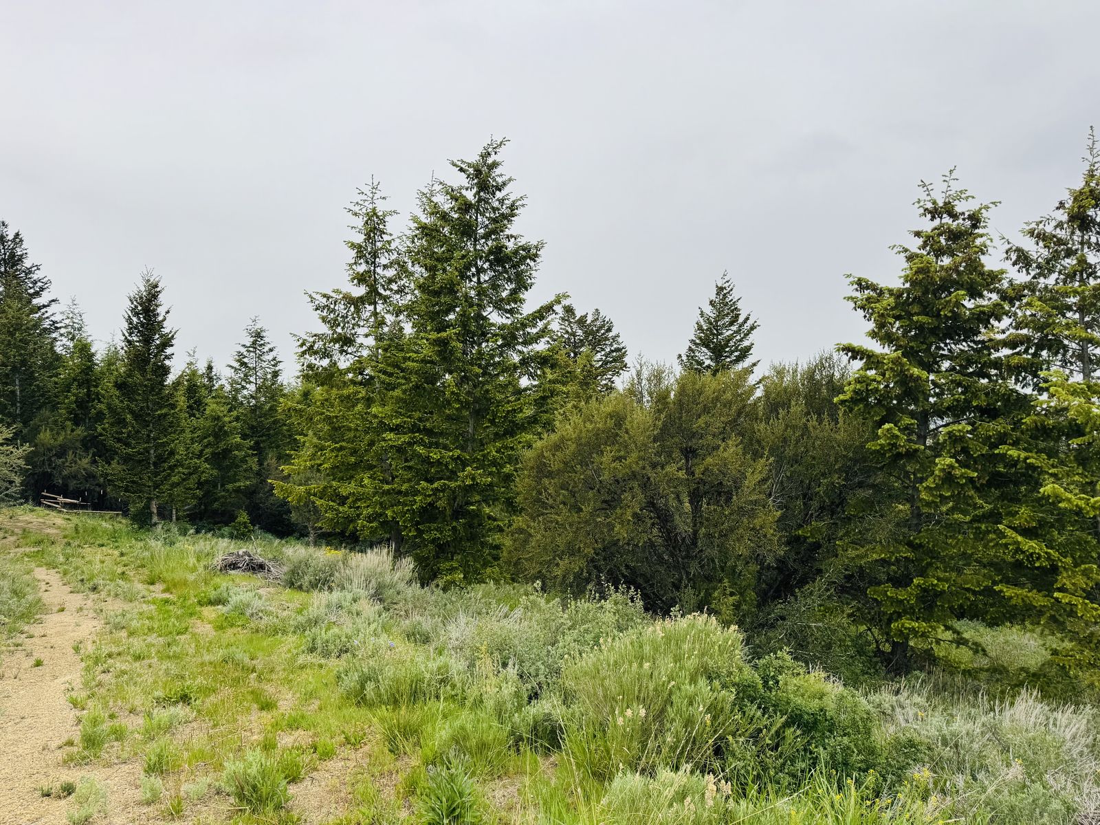 Main image 4