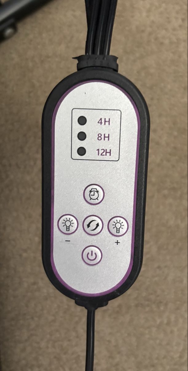 Main image 3