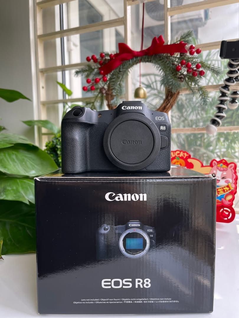 Canon R8, Rf 24-105 4-7.1