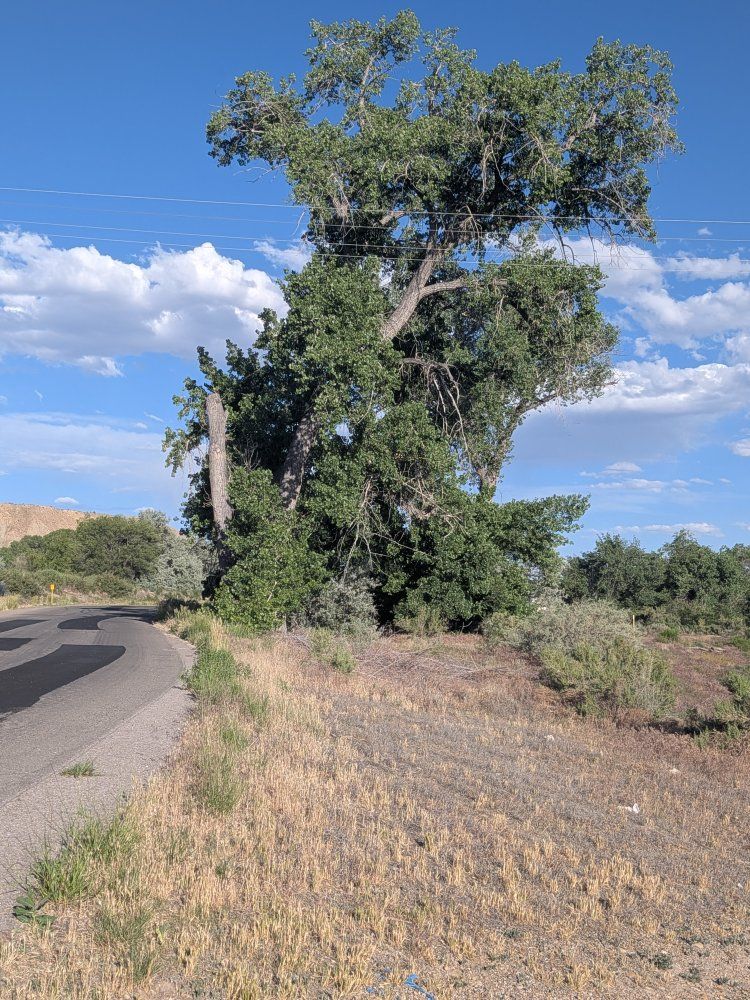 0.66 Acre Commercial/Residential Lot – Price, UT – Taking Offers