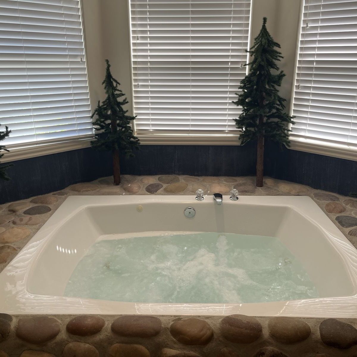 Large Jacuzzi Tub
