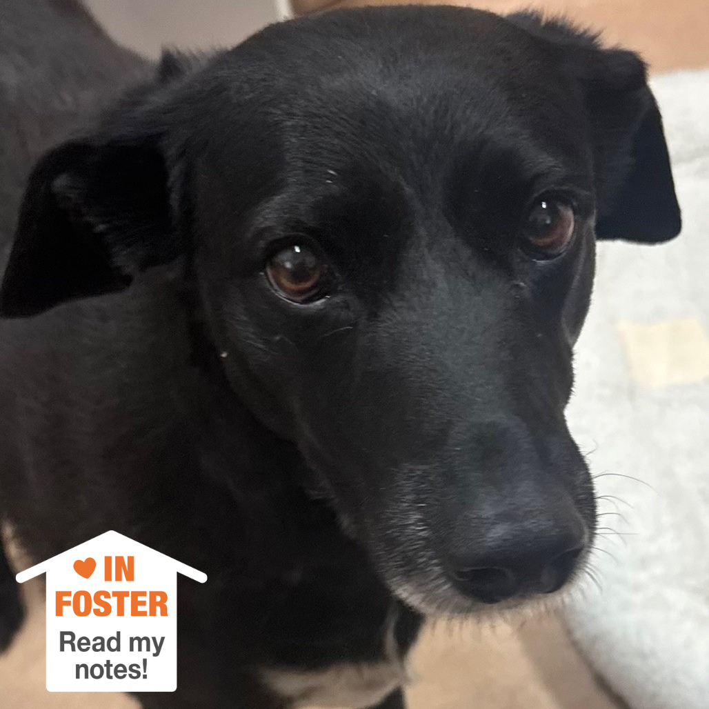 Hello my name is Angel