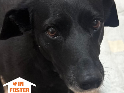 Hello my name is Angel