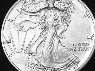 1990 American Silver Eagle / Walking LibertyDollar