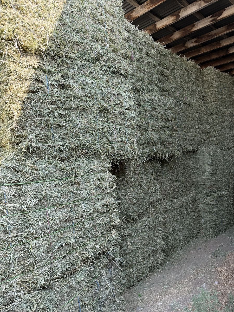 Alfalfa Small Bale Bundles