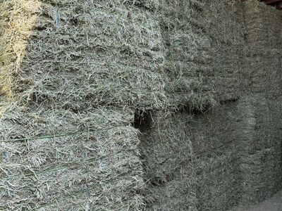 Alfalfa Small Bale Bundles