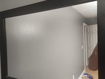 22×32 bedroom mirror 50dollars