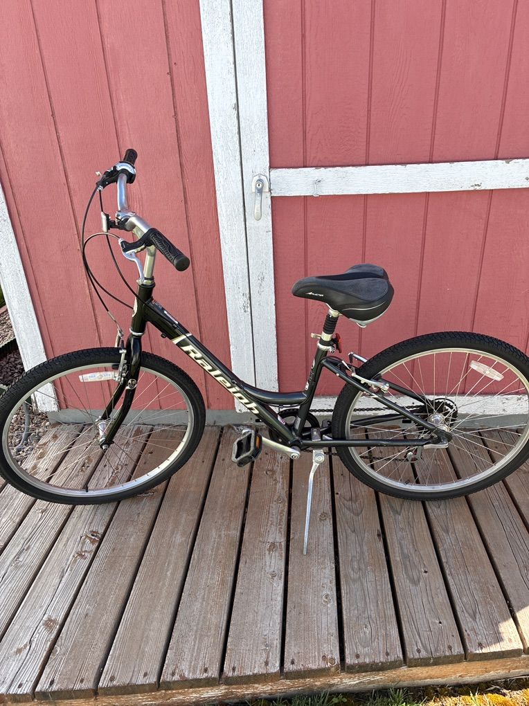 Raleigh 7 Speed Cruiser