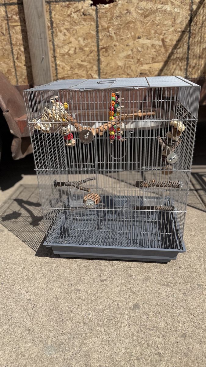 Wire Bird Cage with Perches and Toys - Used Good Condition