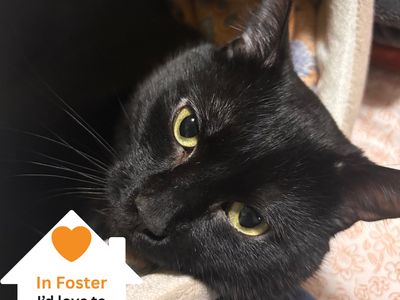 Hello my name is Aldo