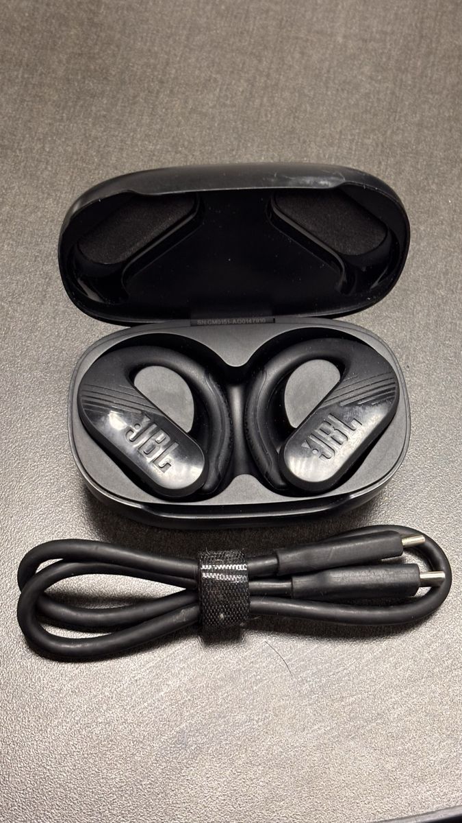 JBL - Endurance Peak 3 Dust and Waterproof True Wireless Active Earbuds - Black