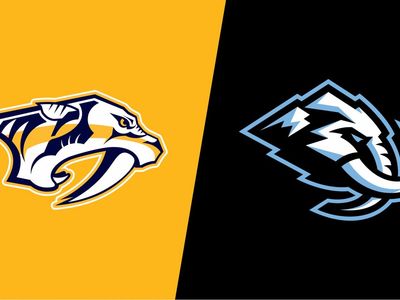 Nashville Predators @ Mammoth 1st Row Upper Bowl