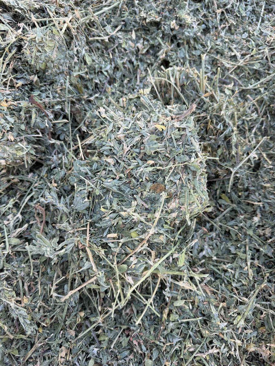 Main image 2