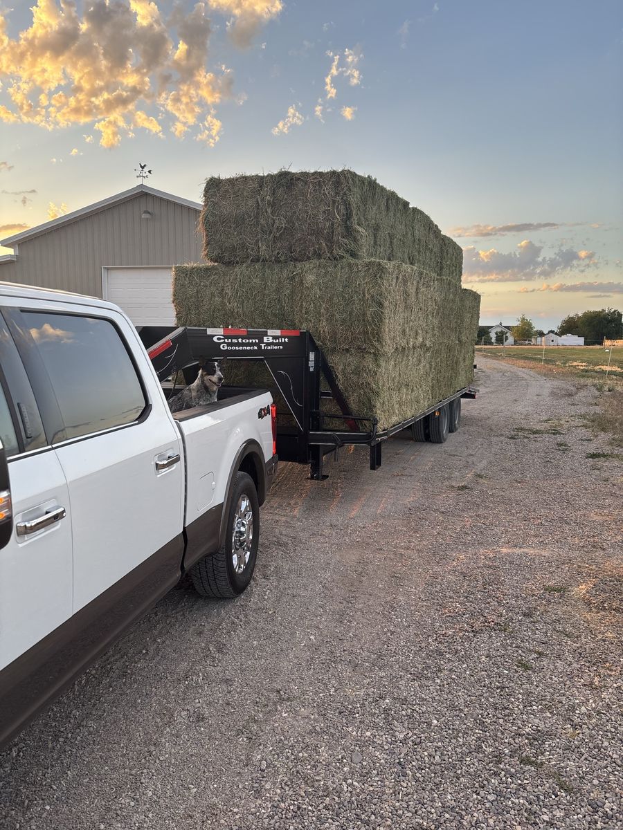 Hay, 3x3 bales of 1st crop