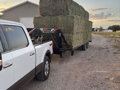 Hay, 3x3 bales of 1st crop