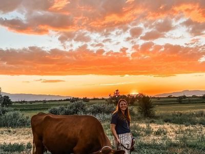 Dairy Cow + One on The Way