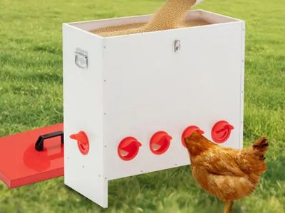 10-Ports Metal Chicken Feeder