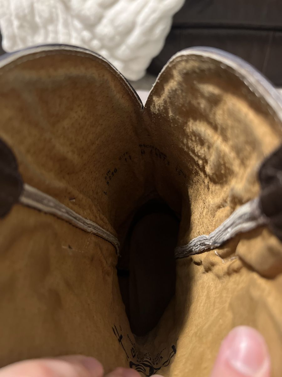 Main image 5