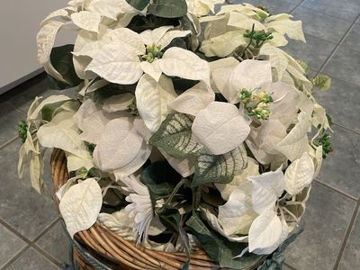 Artificial White Poinsettia Arrangement in Wicker Basket