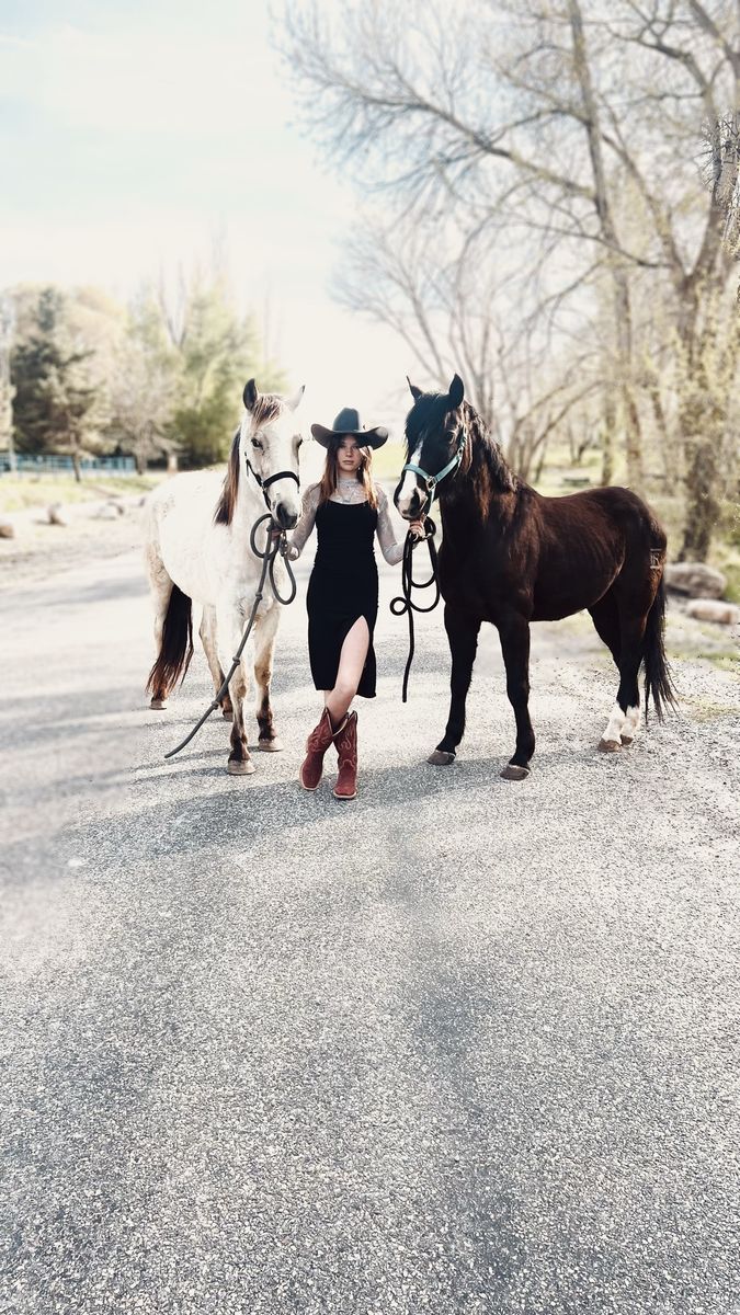 Iso Project Horses