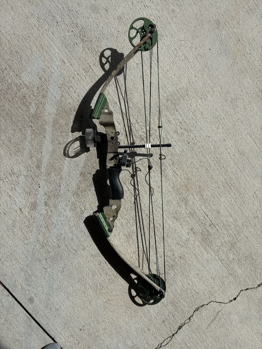 Compound Bow
