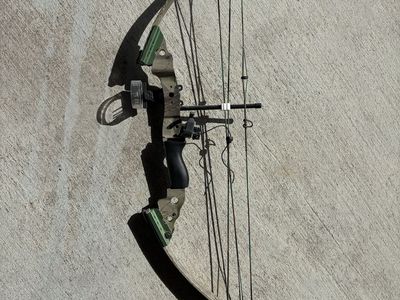 Compound Bow