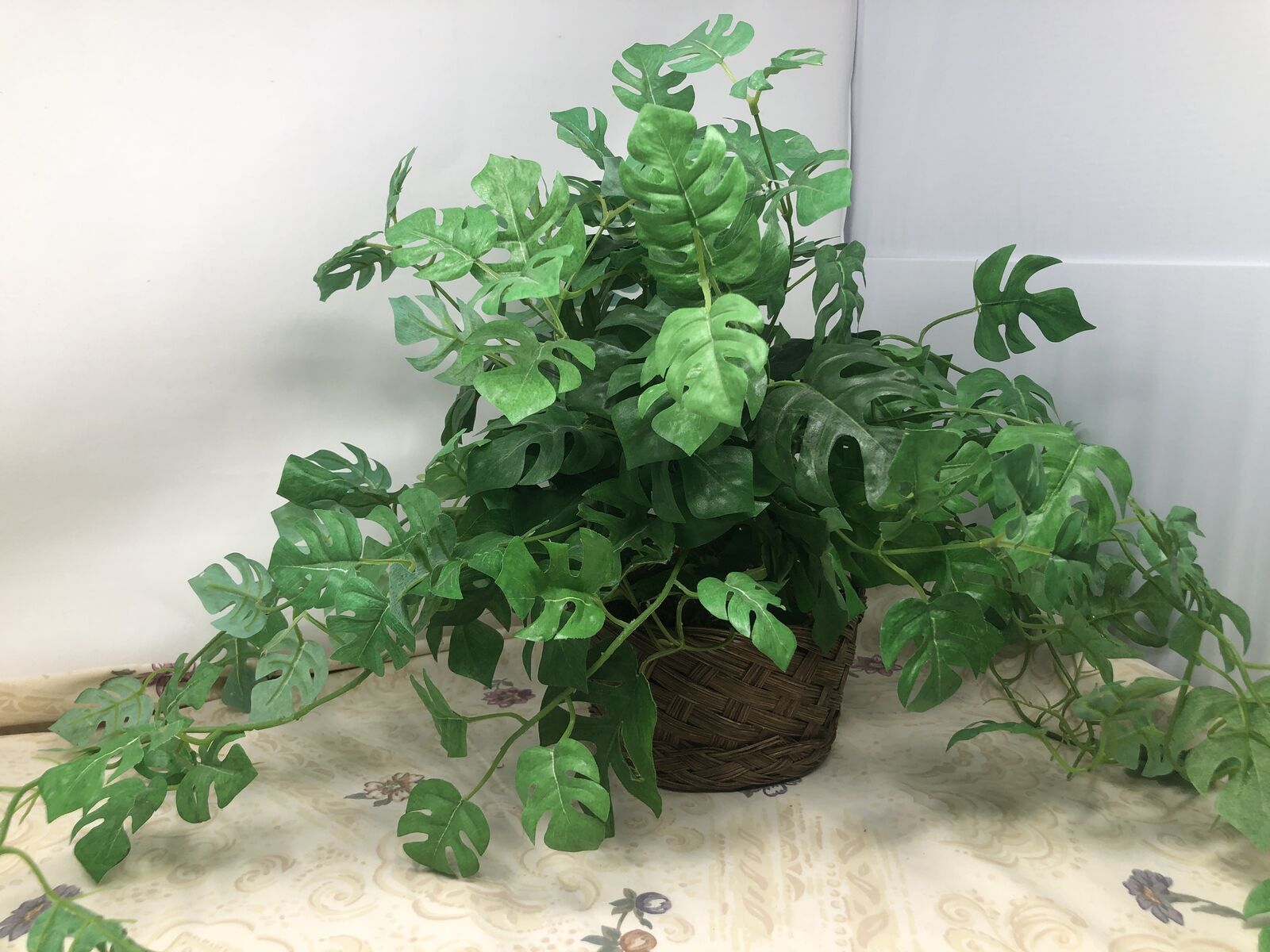 Silk Greenery Split Leaf Philodendron in Brown Wicker Basket