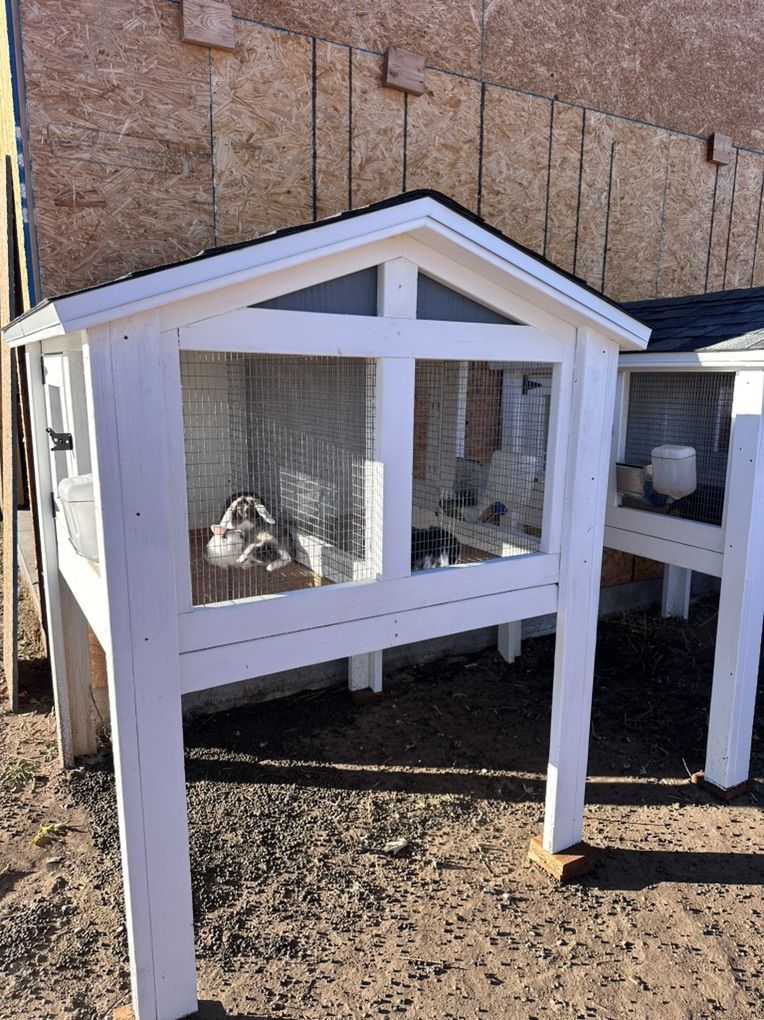 Rabbit Hutches