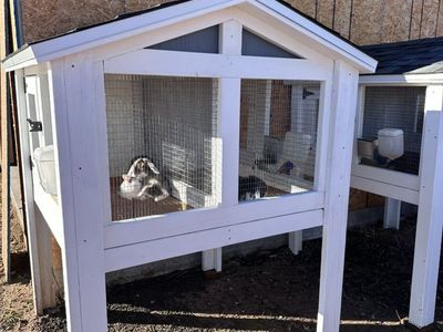 Rabbit Hutches