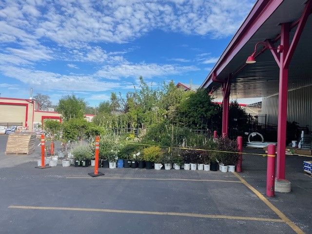 30 to 50 % off all trees and shrubs at the IFA in Draper