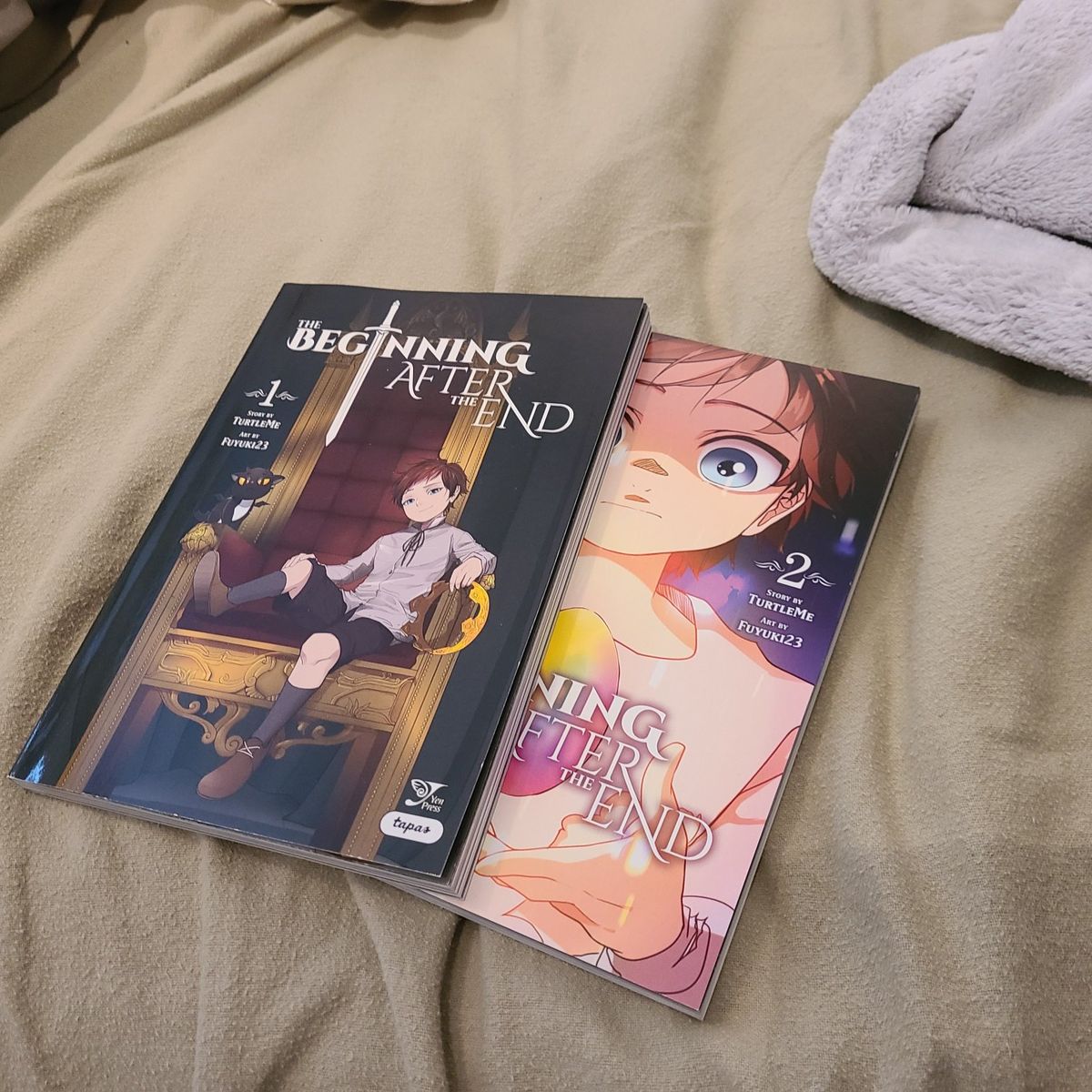 The Beginning After the End Webtoon Books