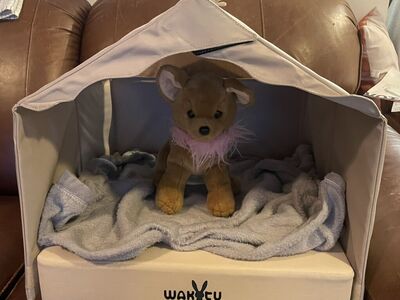 WAKYTU Cottage Style Tent Bed