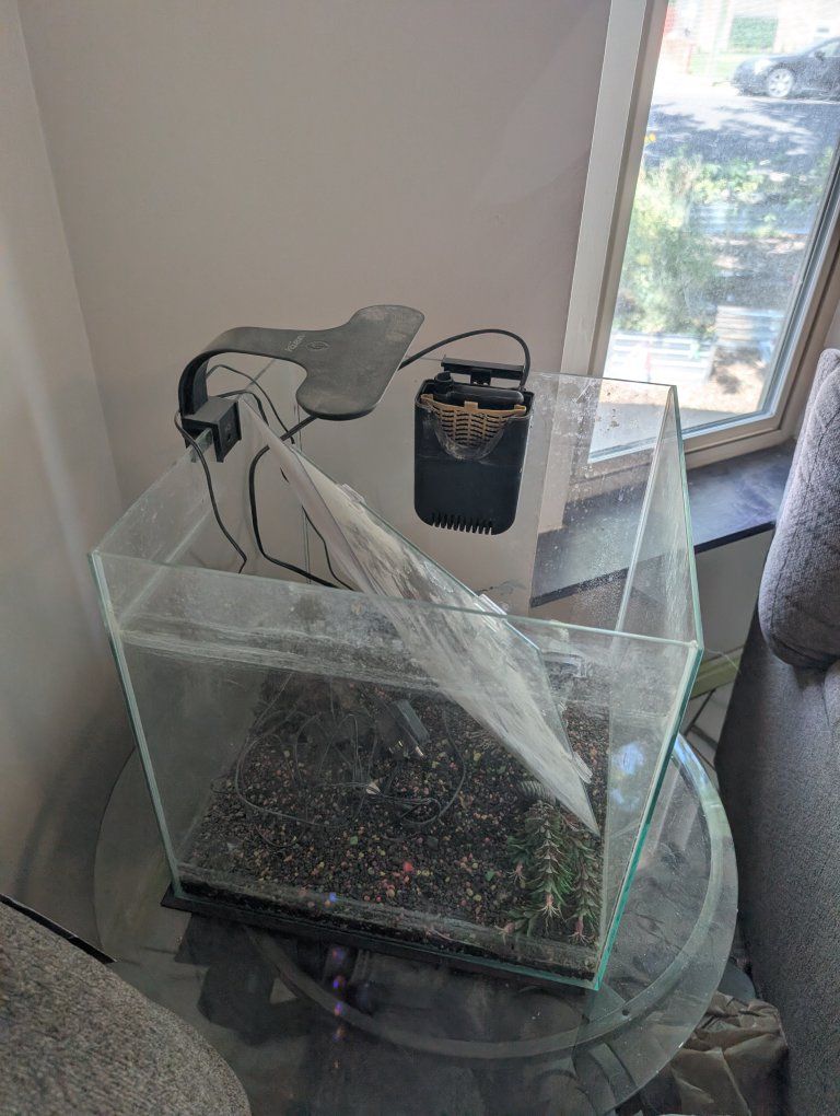 Glass Aquarium Fish Tank with Light and Filter - Used, Good Condition