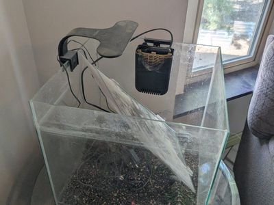 Glass Aquarium Fish Tank with Light and Filter - Used, Good Condition