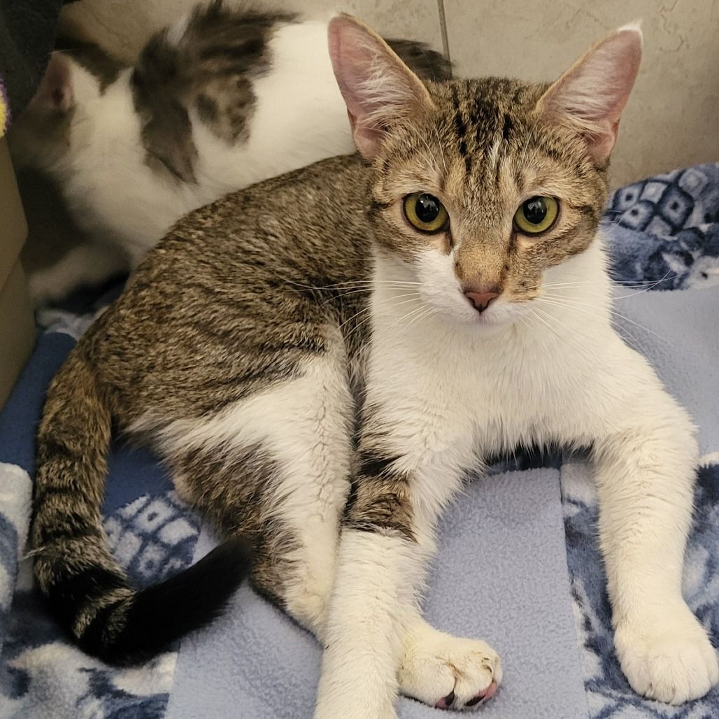 Hello my name is Tria