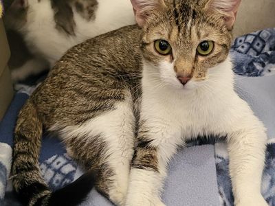 Hello my name is Tria