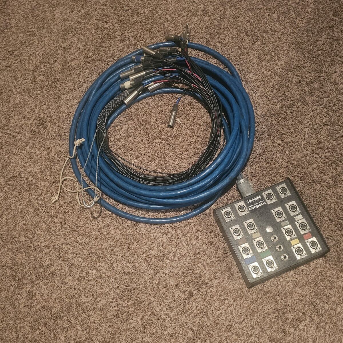 Whirlwind Medusa 16X3 Snake