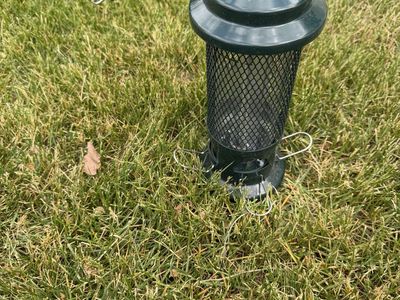 Squirrel Buster Bird Feeder