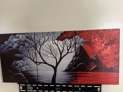 Picture Painting Thingy