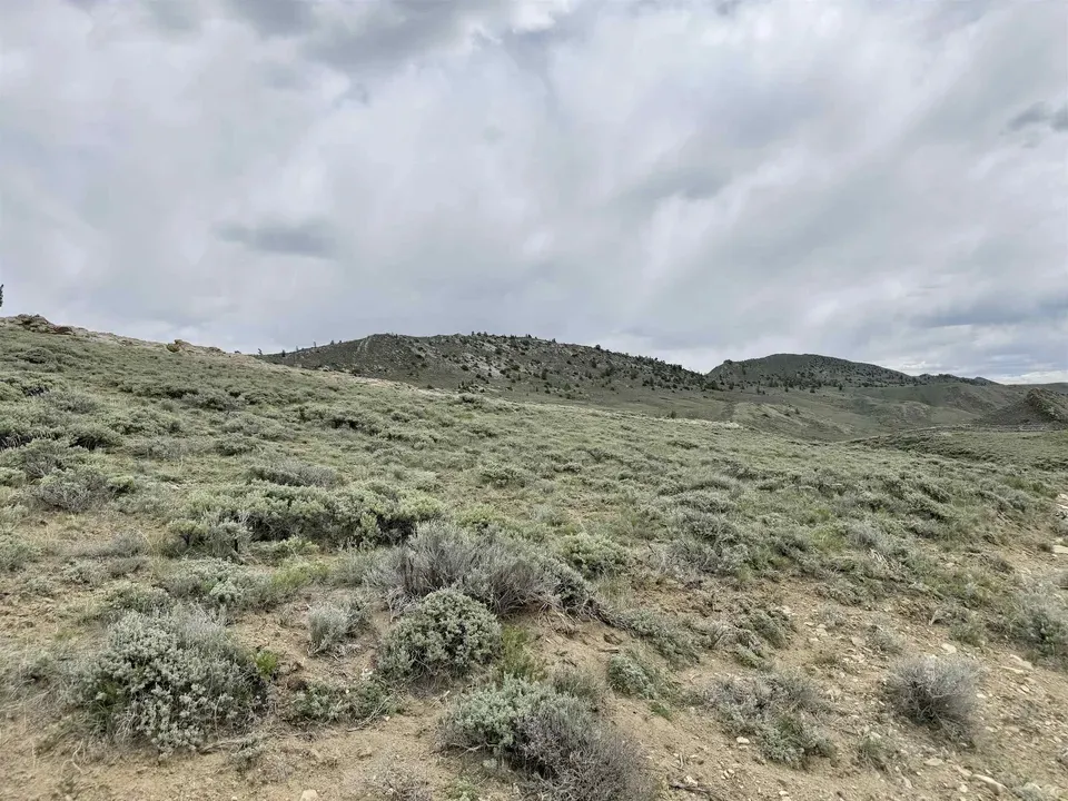 Main image 28