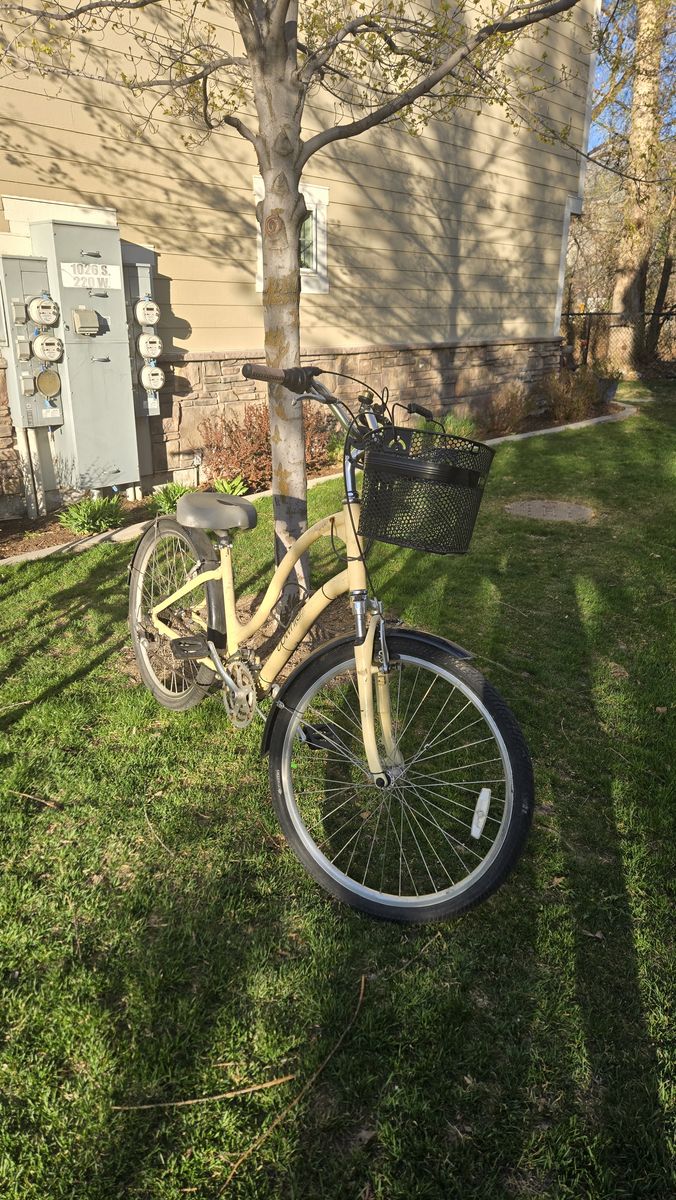 Townie21 w/ Accessories