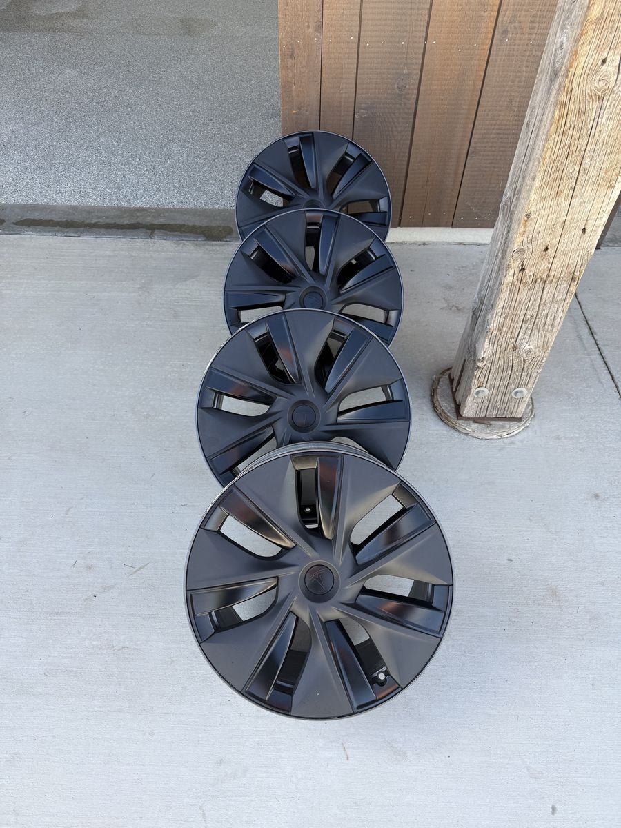 Tesla Model Y Gemini Wheels Take Offs 2025