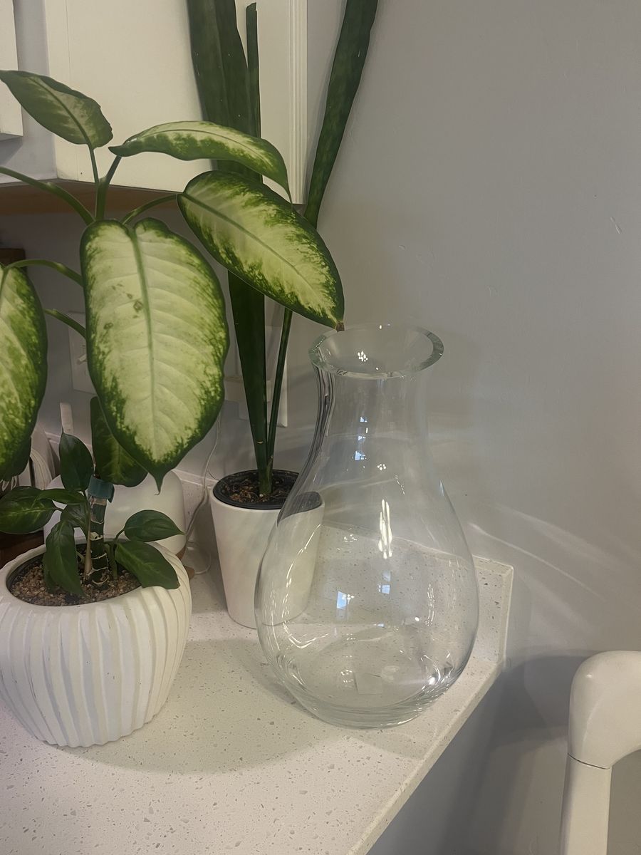 Pottery Barn Glass Vase