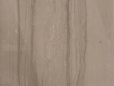 Serpentine Arena 12x24