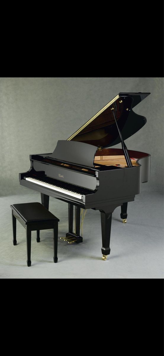 Essex EGP155C Baby Grand Piano