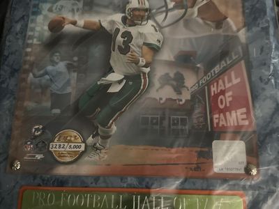 Miami Dolphins stuff